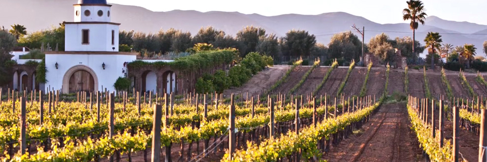 Valle de Guadalupe